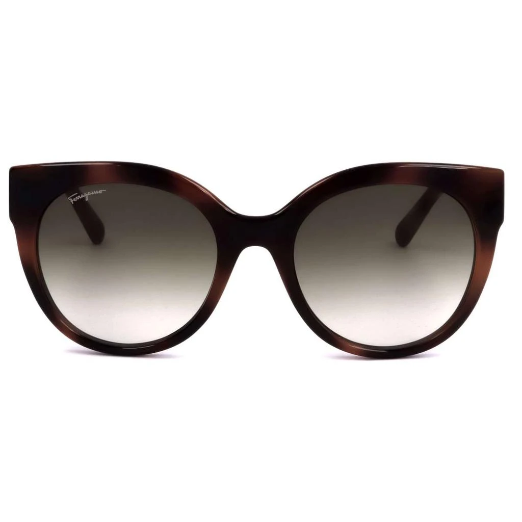 商品Salvatore Ferragamo|Ferragamo Women's Brown Butterfly Sunglasses,价格¥524,第3张图片详细描述