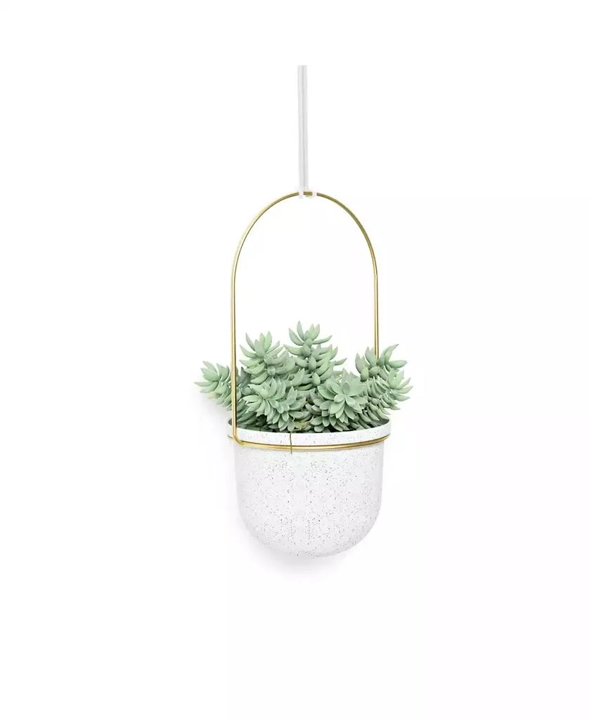 商品Umbra|Triflora Hanging Planter, Set of 5,价格¥1000,第3张图片详细描述