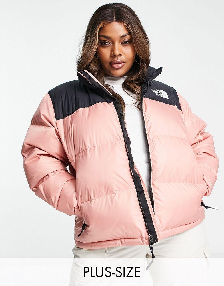 The North Face Plus 1996 Retro Nuptse down puffer jacket in pink商品第1张图片规格展示