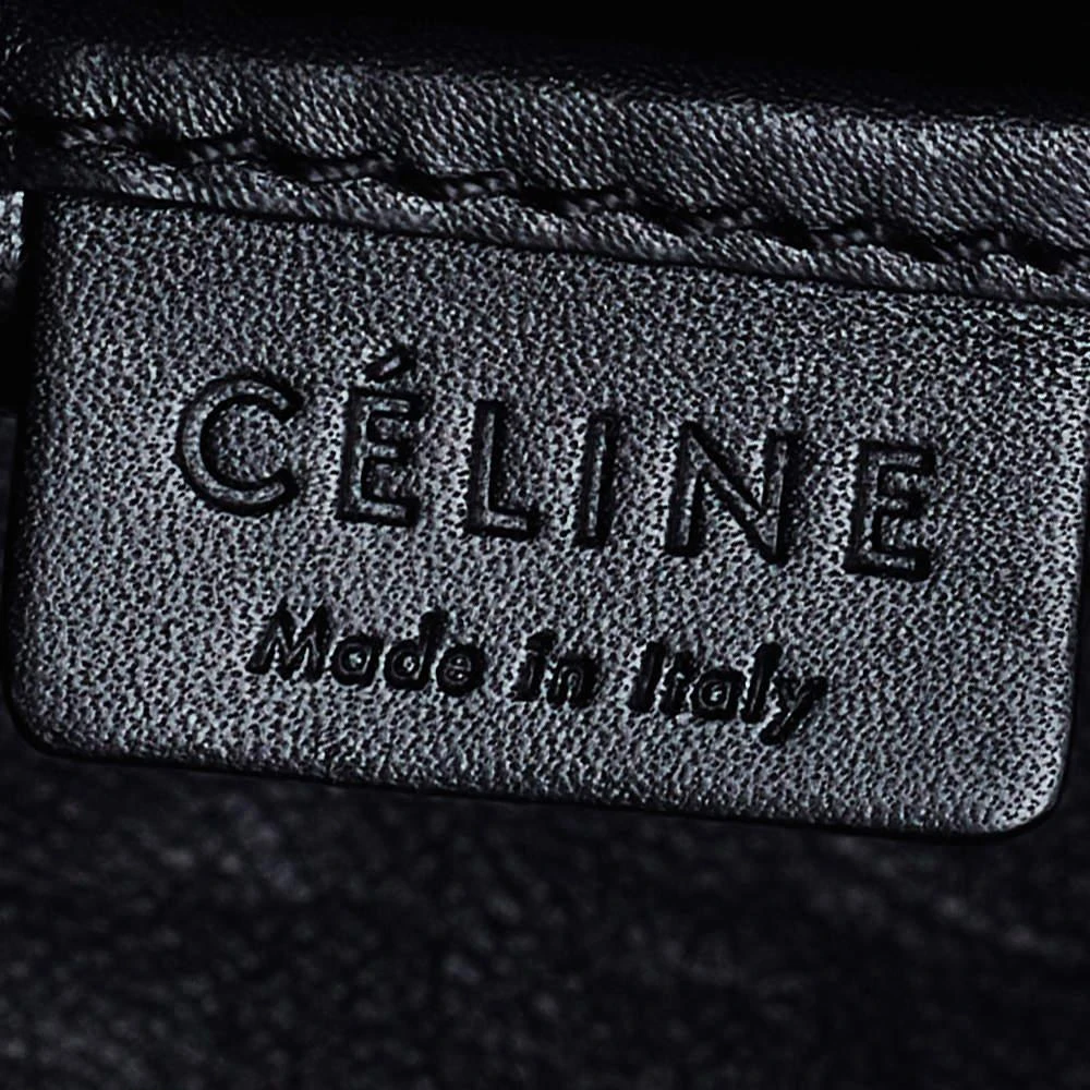 Celine Tricolor Calf Hair and Leather Nano Luggage Tote 商品