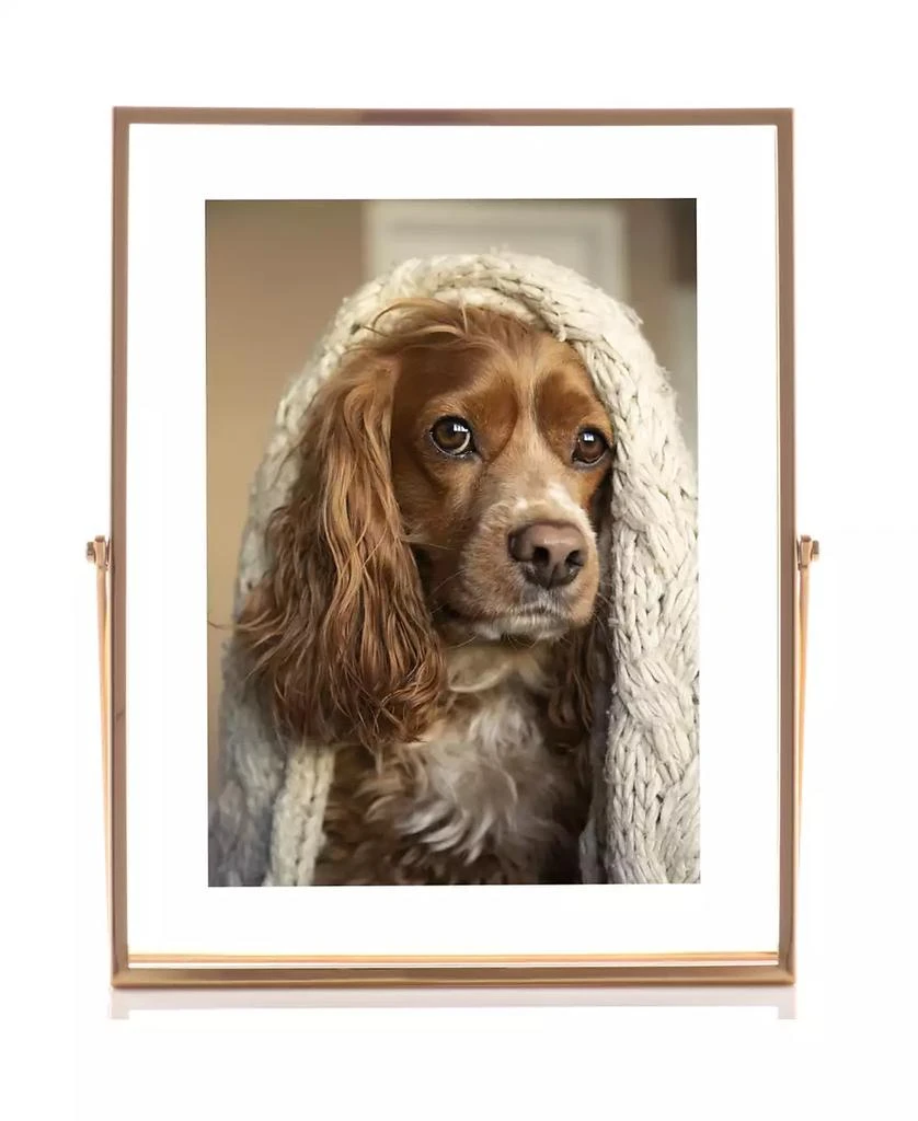 商品Lawrence Frames|Metal Easel Float Picture Frame, 5" x 7",价格¥155,第3张图片详细描述