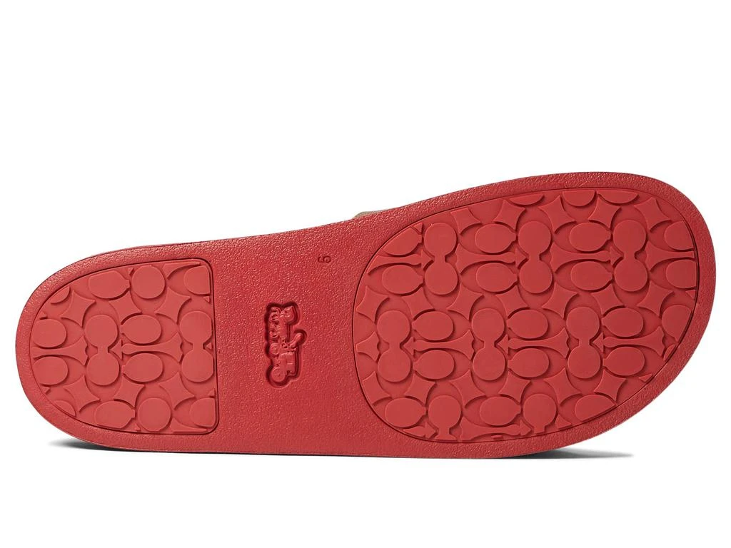 商品Coach|Udele Valentines Sport Slide,价格¥650,第3张图片详细描述