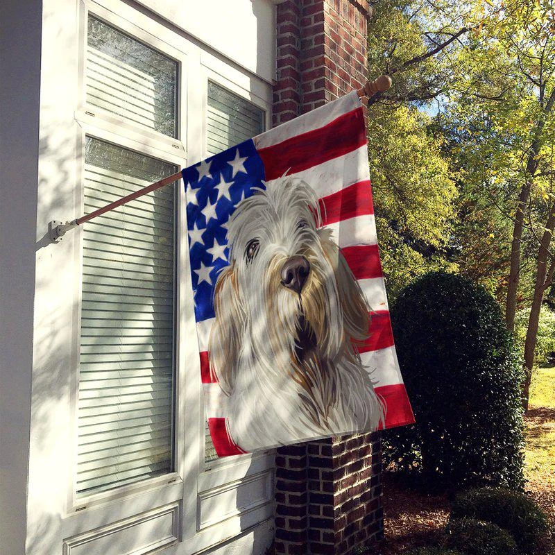 商品Caroline's Treasures|28 x 40 in. Polyester Spinone Italiano Dog American Flag Flag Canvas House Size 2-Sided Heavyweight,价格¥329,第2张图片详细描述