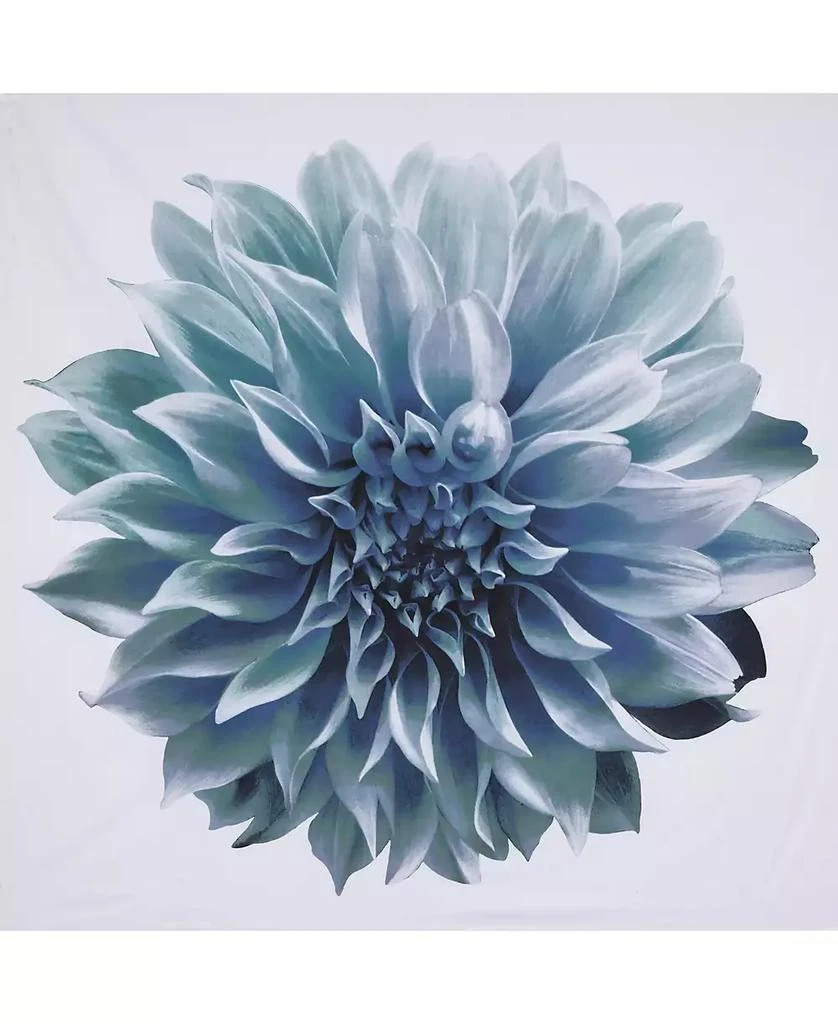 商品Madison Park|Norah Cotton Percale Shower Curtain, 72" x  72",价格¥279,第3张图片详细描述