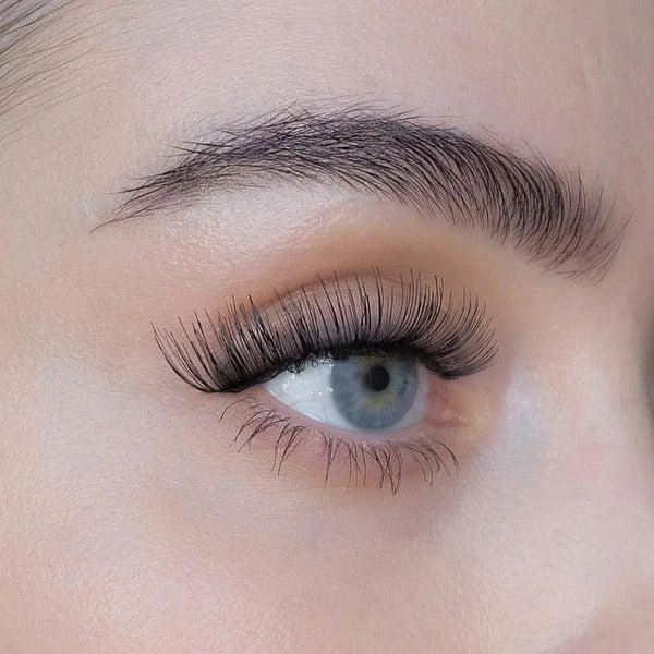 商品Lookfantastic|Sweed Iconic Lashes - Black,价格¥112,第4张图片详细描述