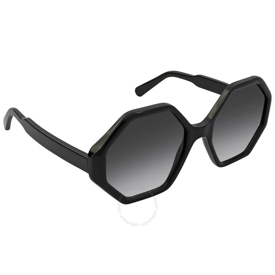 商品Salvatore Ferragamo|Salvatore Ferragamo Grey Gradient Hexagonal Ladies Sunglasses SF1070S 001 52,价格¥561,第3张图片详细描述