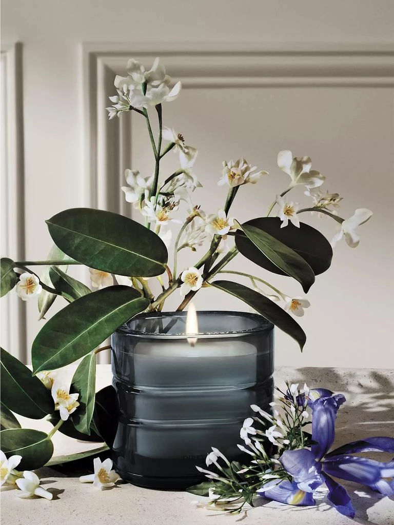商品Diptyque|Nymphées Merveilles (Nymphaeum of Wonders) Refillable Candle,价格¥2136,第2张图片详细描述