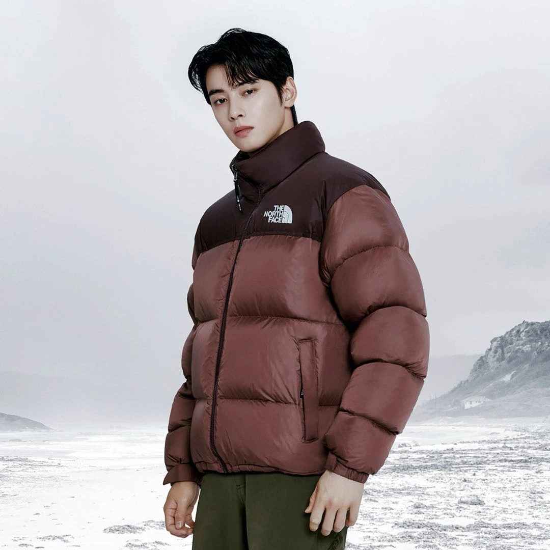 商品[国内直发] The North Face|北面 1996系列 FW24 EcoNuptse Jacket 立领防风可收纳鹅绒羽绒服 男女同款 安哥拉红,价格¥1890,第7张图片详细描述
