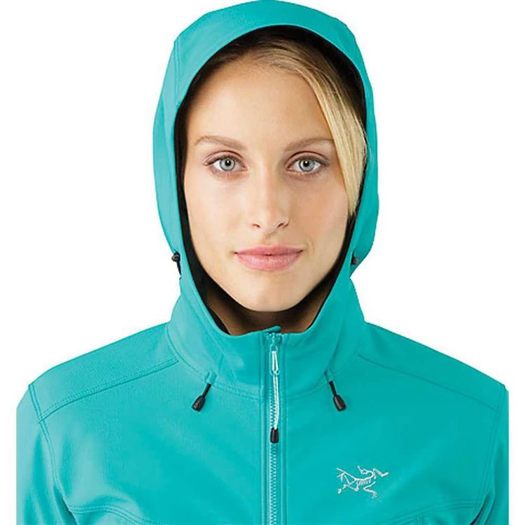 商品Arc'teryx|Arcteryx Women's Epsilon LT Hoody,价格¥1360,第4张图片详细描述