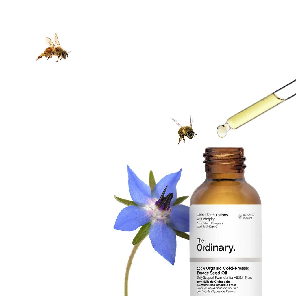 100% Organic Cold-Pressed Borage Seed Oil 商品