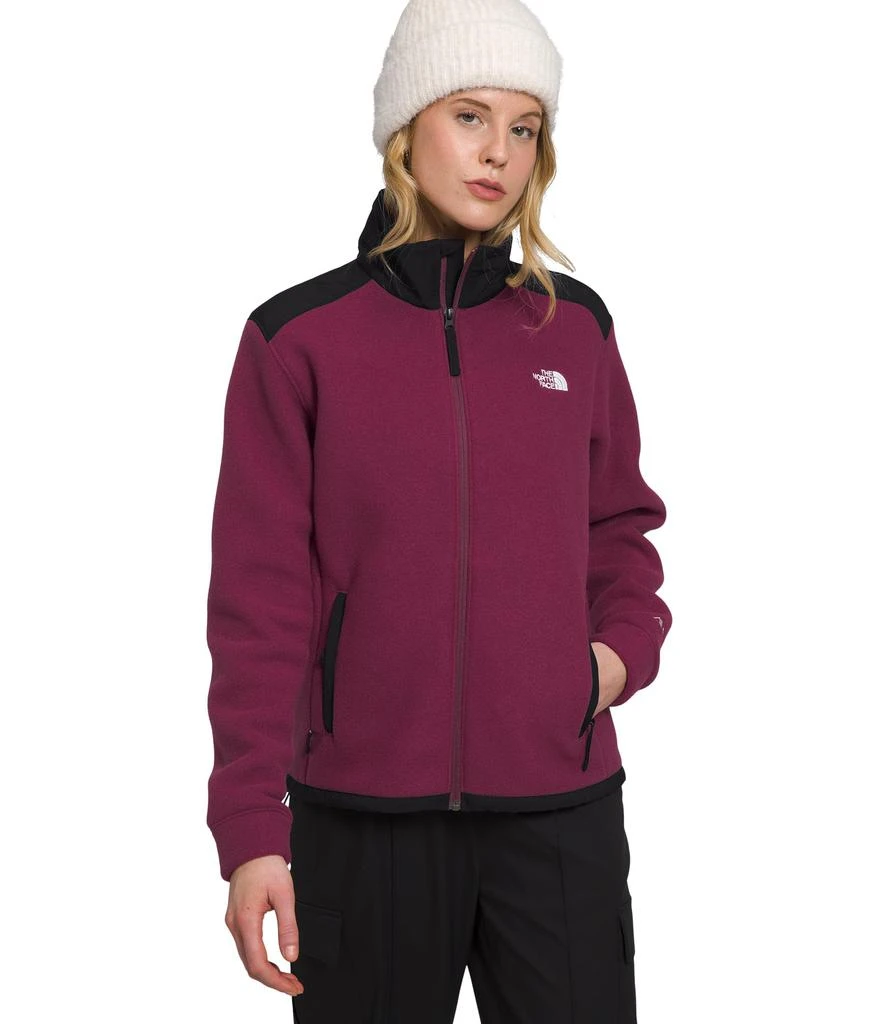 商品The North Face|Alpine Polartec® 200 Full Zip Jacket,价格¥609,第1张图片