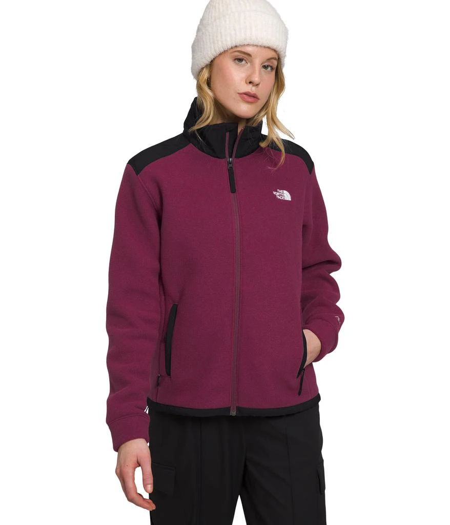 商品The North Face|Alpine Polartec® 200 Full Zip Jacket,价格¥865,第1张图片