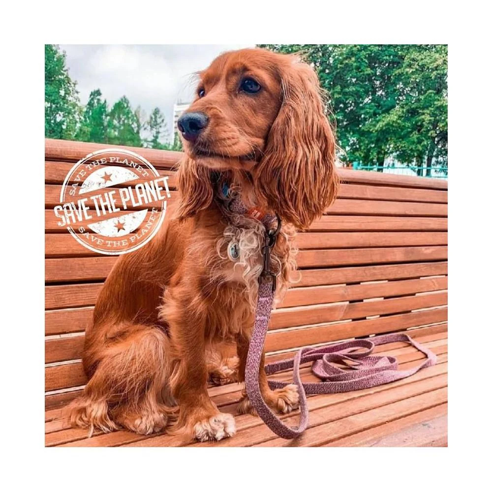 商品Waudog|Eco-Friendly Re-Cotton Leash For Dogs, reflective,价格¥164,第2张图片详细描述
