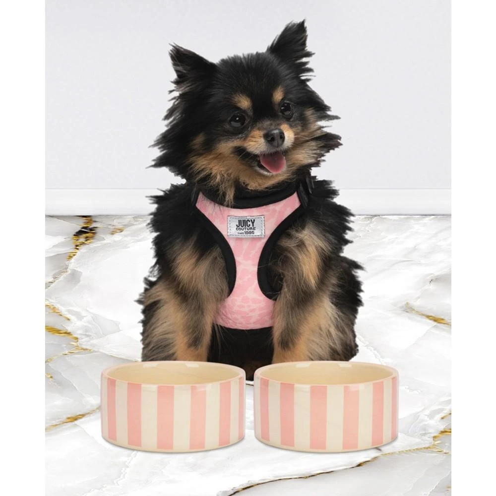 商品Juicy Couture|2-Piece 16 oz Ceramic Bowl Set, Rose Stripe,价格¥188,第5张图片详细描述