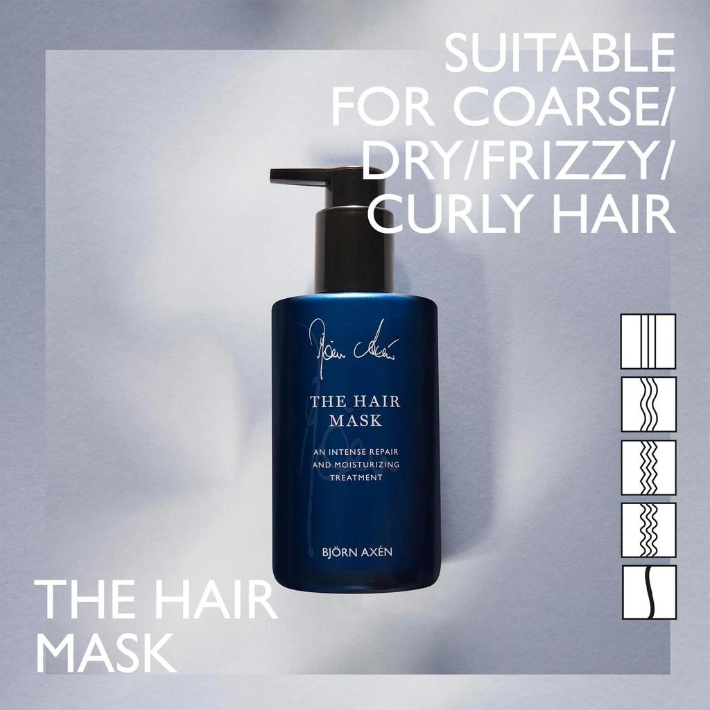 商品Bjorn Axen|The Hair Mask by  for Unisex - 8.45 oz Mask,价格¥167,第2张图片详细描述