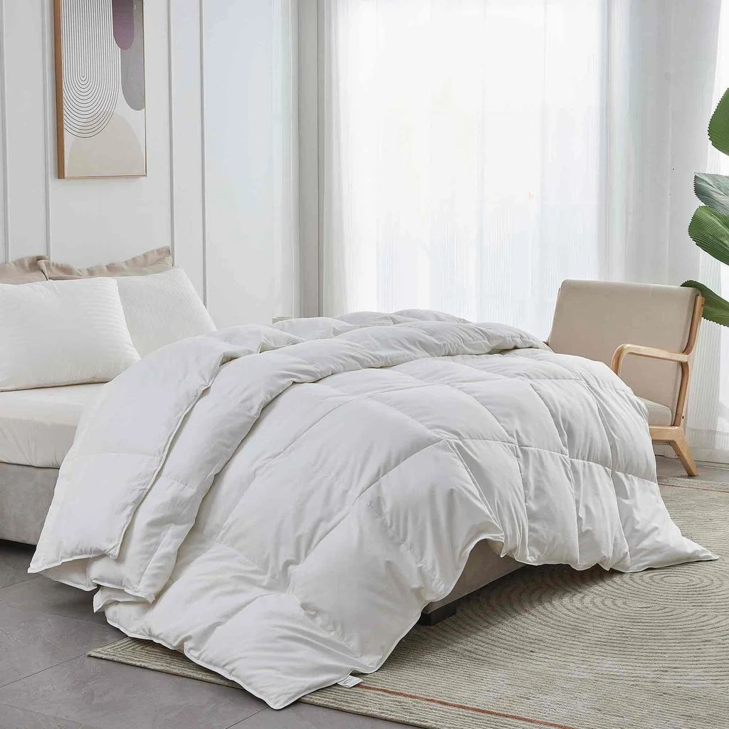 商品Puredown|Ultra Soft Fabric All Season Premium Feather Fiber and Microfiber Comforter with 360TC, White,价格¥459,第1张图片