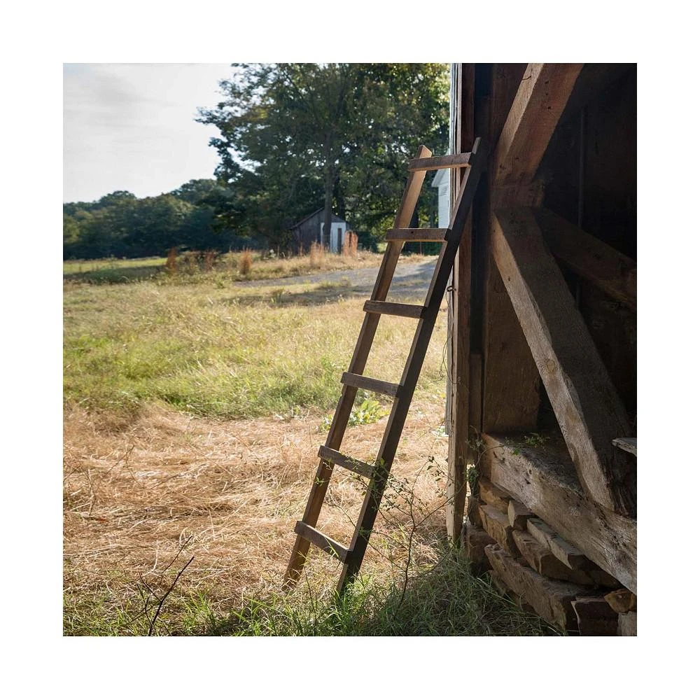 商品Park Hill Collection|Wooden Loft Display Ladder,价格¥1191,第2张图片详细描述