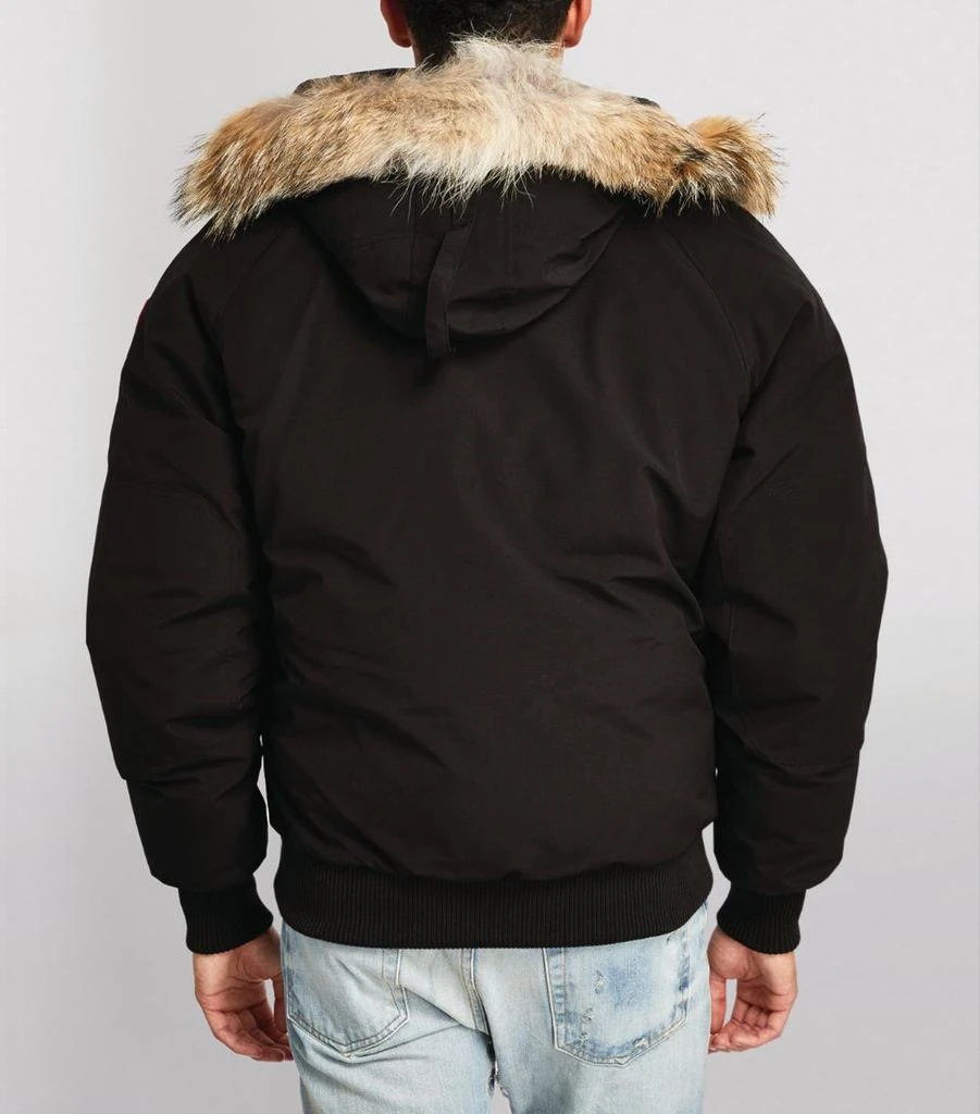 商品Canada Goose|Fur-Trim Chilliwack Bomber Jacket,价格¥14421,第4张图片详细描述