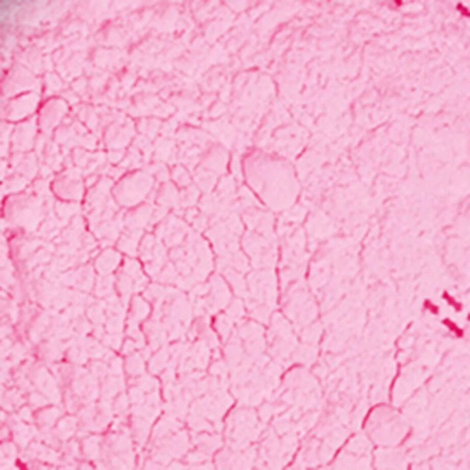 商品Huda Beauty|Easy Bake Loose Powder,价格¥367,第4张图片详细描述