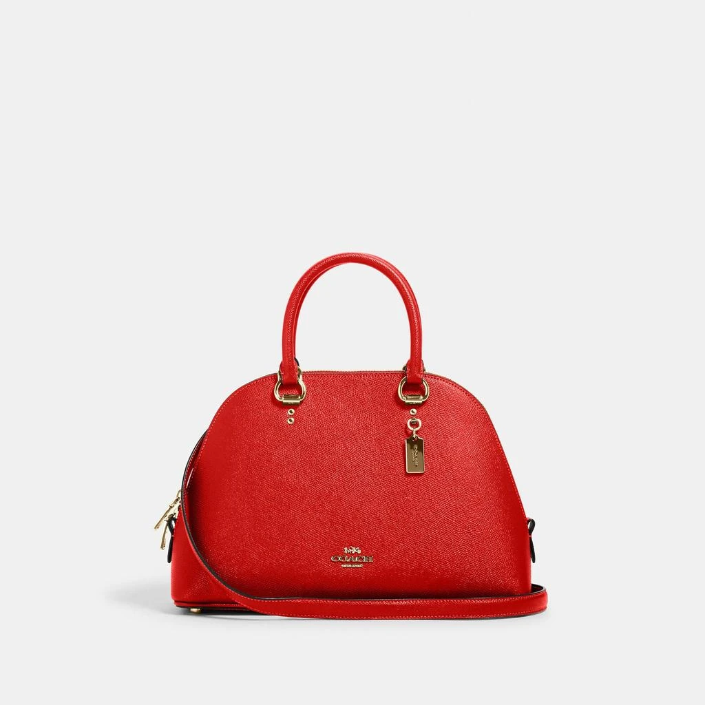 COACH Katy Satchel 商品