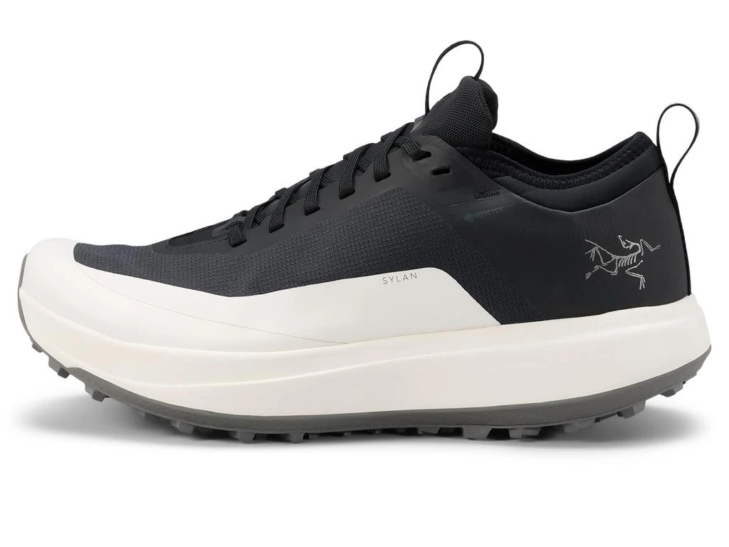 商品Arc'teryx|Sylan GTX,价格¥1318,第1张图片