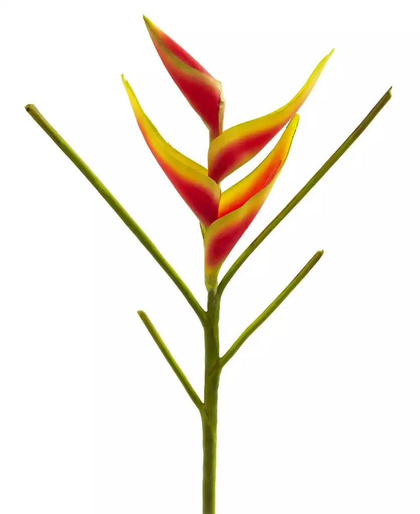 商品NEARLY NATURAL|26-In. Heliconia Artificial Flower, Set of 4,价格¥505,第2张图片详细描述