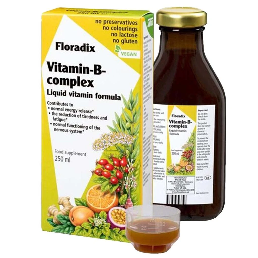 商品Floradix|Floradix - Salus Floradix Vitamin B Complex (250ml),价格¥286,第1张图片