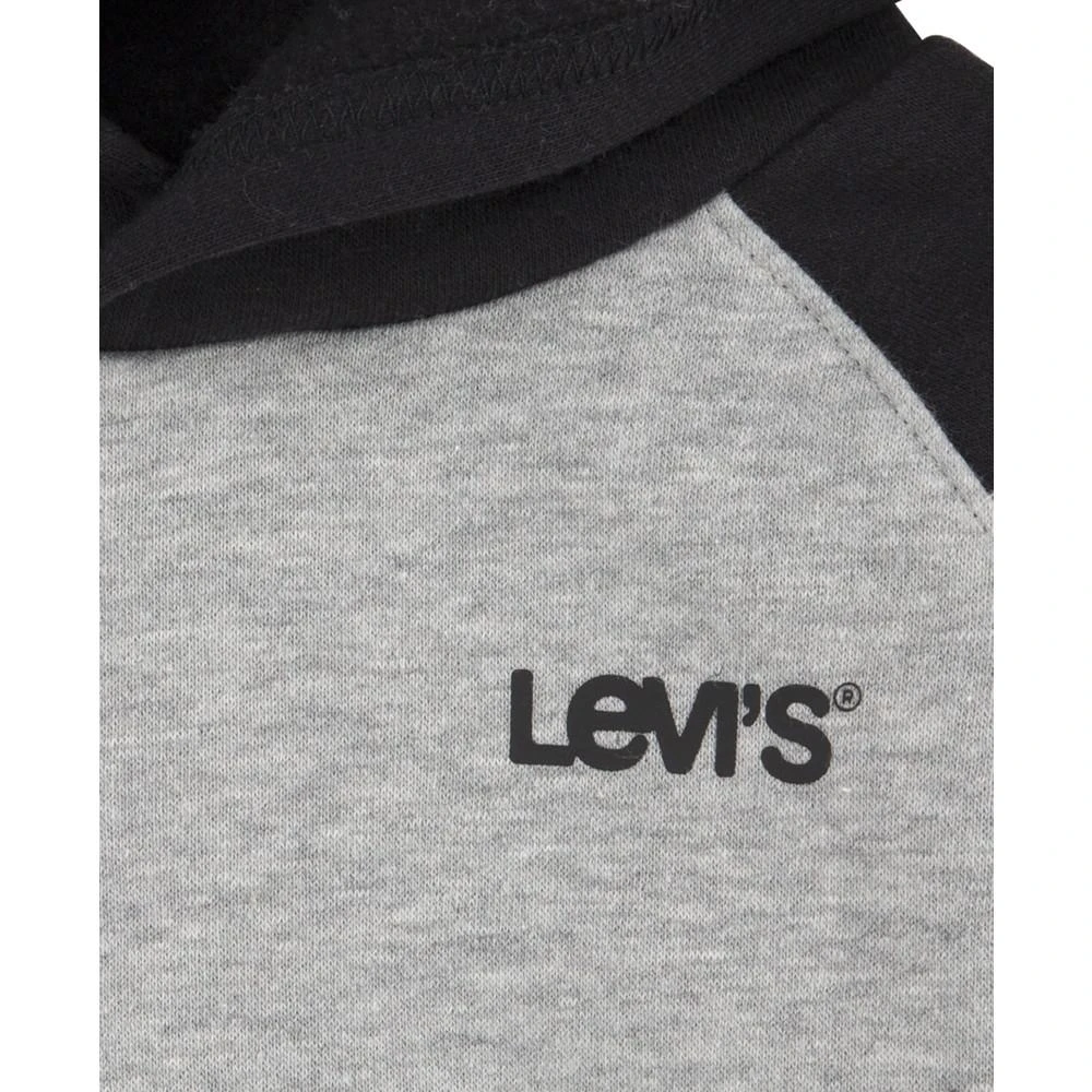 Little Boys Varsity Raglan Hoodie 商品