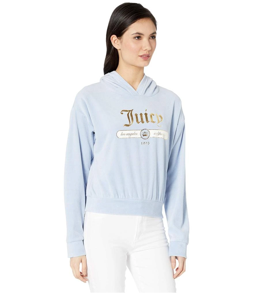 商品Juicy Couture|Juicy Emblem Velour Logo Hooded Pullover,价格¥169,第4张图片详细描述