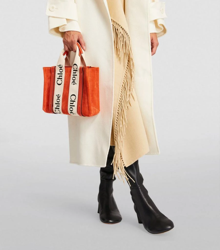 商品Chloé|Small Suede Woody Tote Bag,价格¥9386,第2张图片详细描述