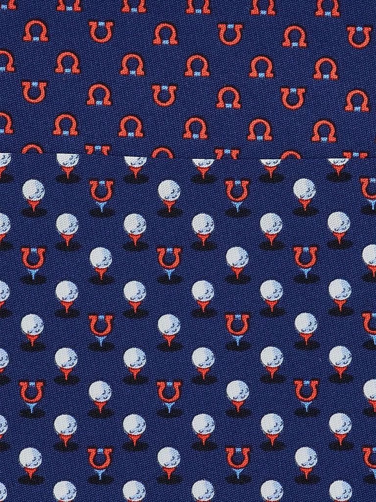 商品Salvatore Ferragamo|Albatross Golf Silk Tie,价格¥1771,第4张图片详细描述