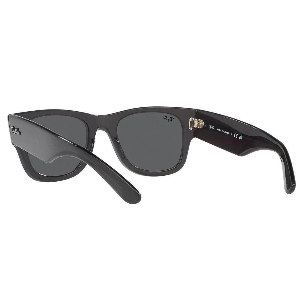 商品Ray-Ban|RAY-BAN Sunglasses,价格¥1350,第4张图片详细描述