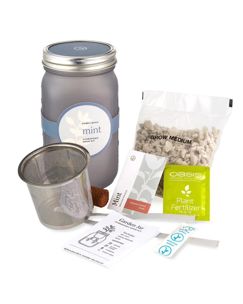 商品Modern Sprout|Garden Jar - Mint,价格¥92,第2张图片详细描述