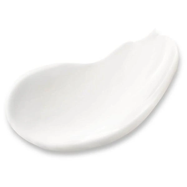 商品Natura Bisse|紧致抗皱颈霜 50ml,价格¥1897,第2张图片详细描述