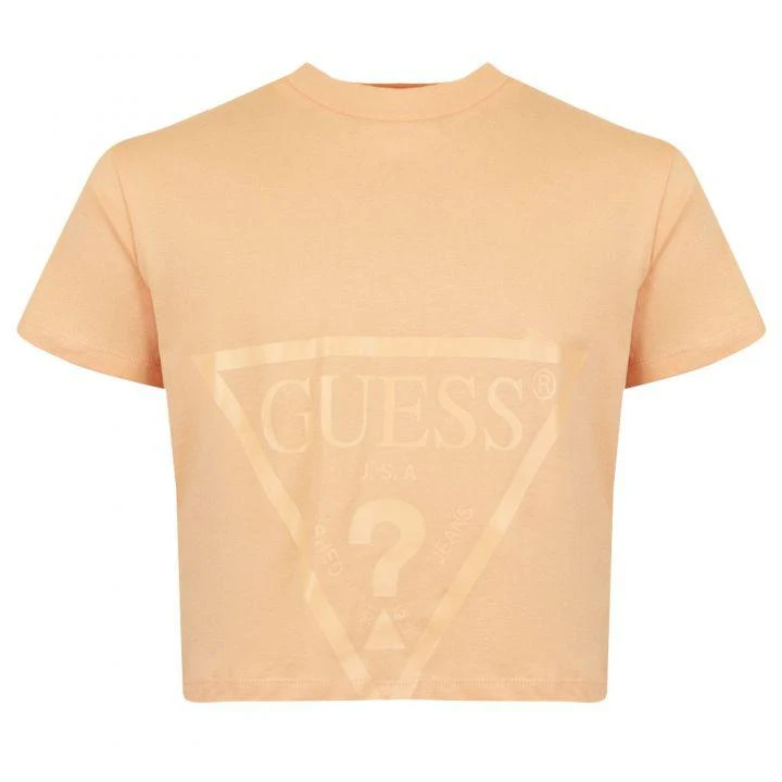 商品GUESS|Orange Triangle Logo T Shirt,价格¥51,第1张图片