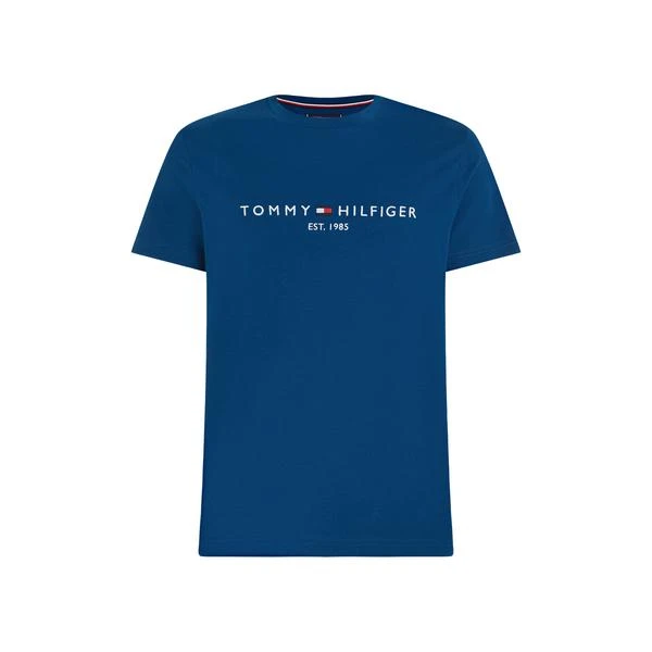 商品Tommy Hilfiger|T-shirt en coton,价格¥456,第1张图片