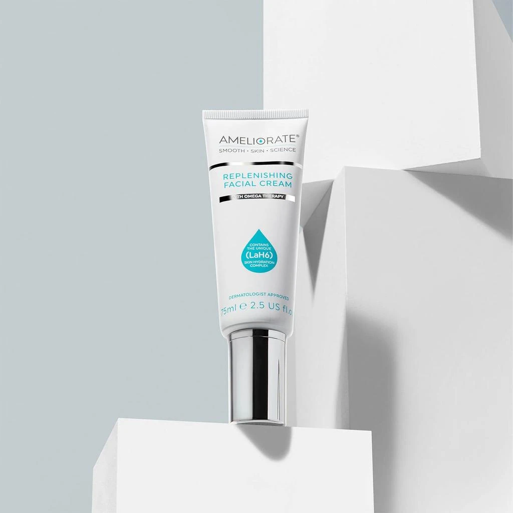 商品Ameliorate|AMELIORATE Replenishing Facial Cream 75ml,价格¥148,第3张图片详细描述