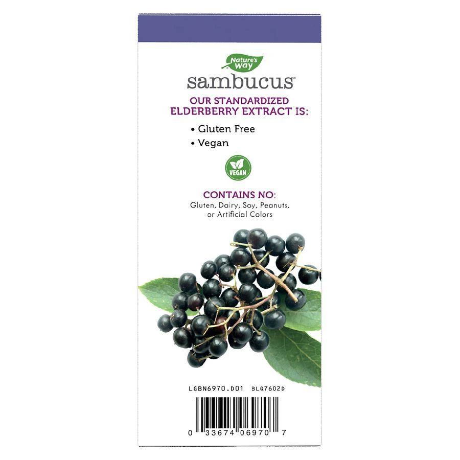 商品Nature's Way|Sambucus Elderberry Original Syrup Berry,价格¥96,第2张图片详细描述