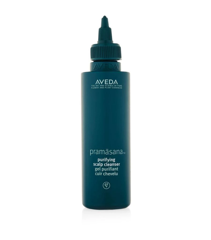 商品Aveda|Pramāsana Purifying Scalp Cleanser (150ml),价格¥279,第1张图片