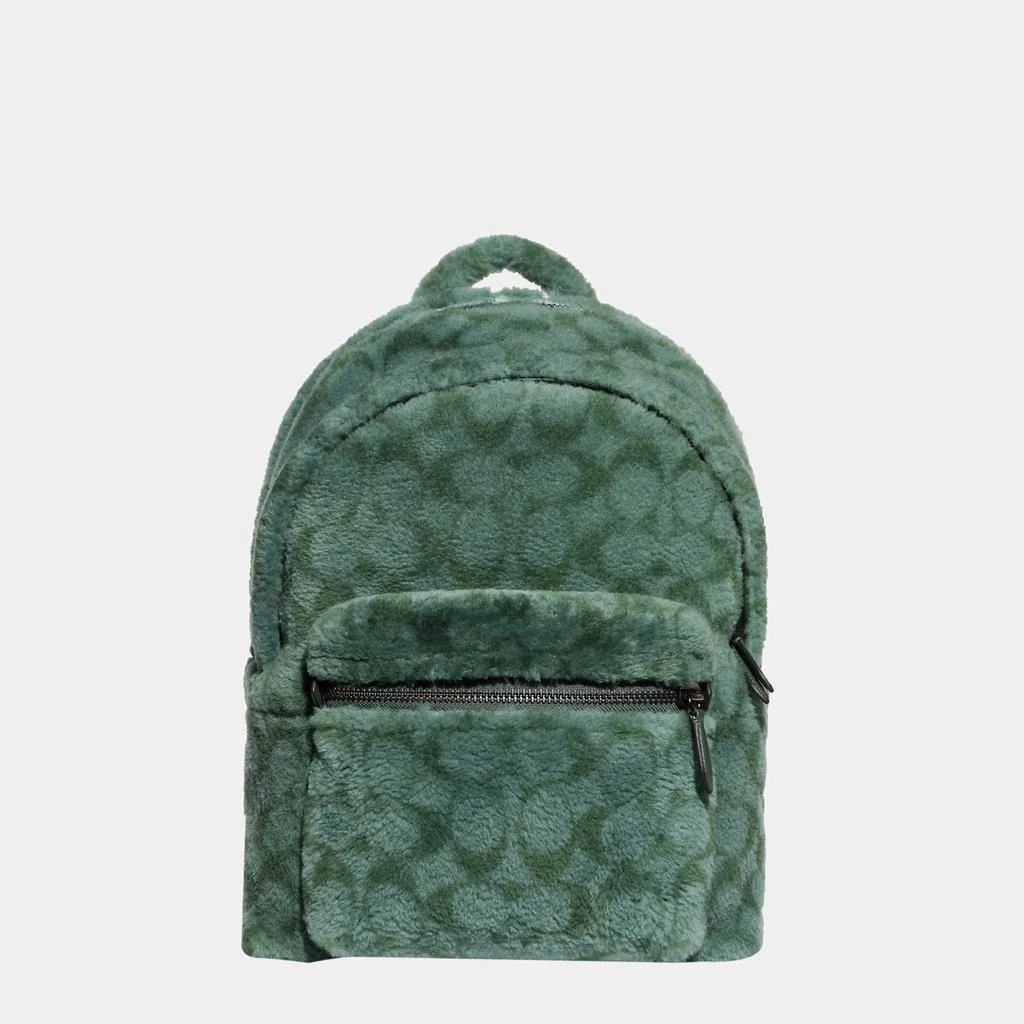 商品Coach|Coach Green - Signature Shearling and glovetanned leather - Backpack,价格¥3574,第1张图片