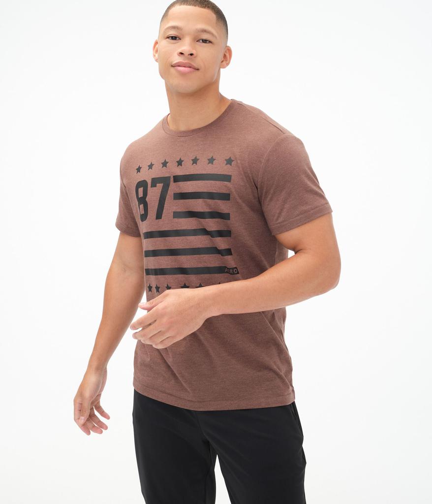 Aeropostale Men's 87 Flag Graphic Tee商品第1张图片规格展示