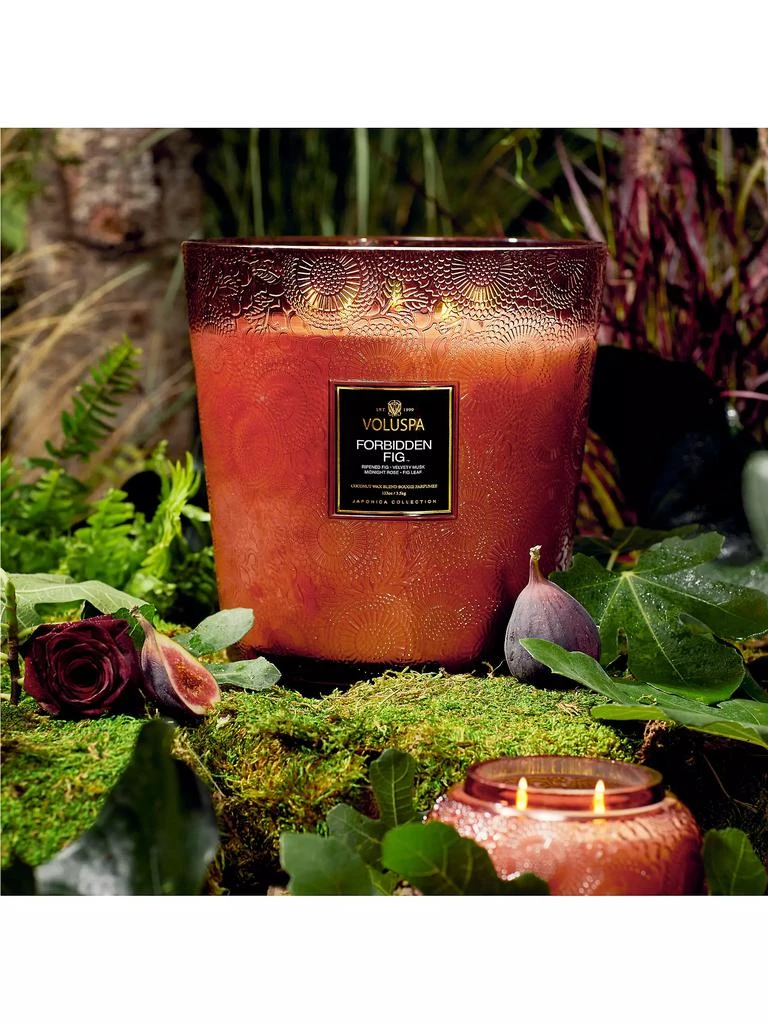 商品Voluspa|Forbidden Fig 5-Wick Hearth Candle,价格¥1769,第4张图片详细描述