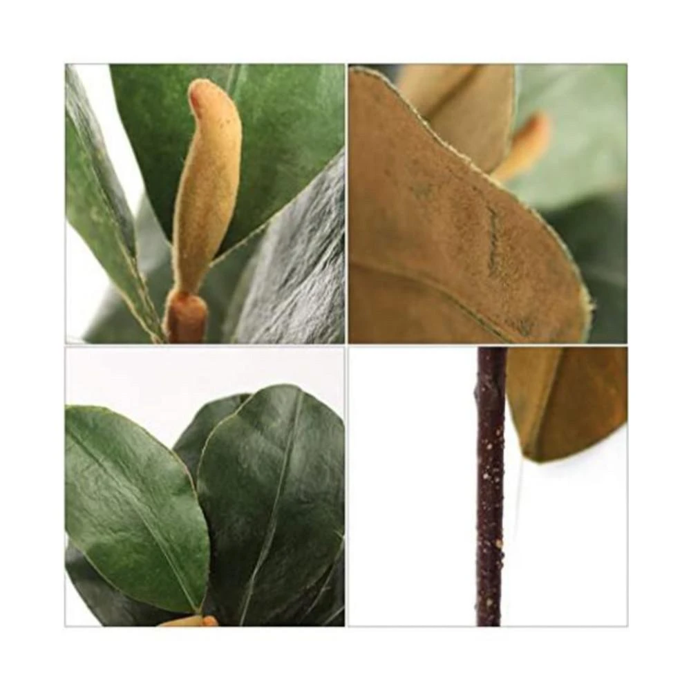 商品Floral Home|12" Magnolia Leaf Pick Realistic Faux Greenery | Home Decor,价格¥312,第3张图片详细描述