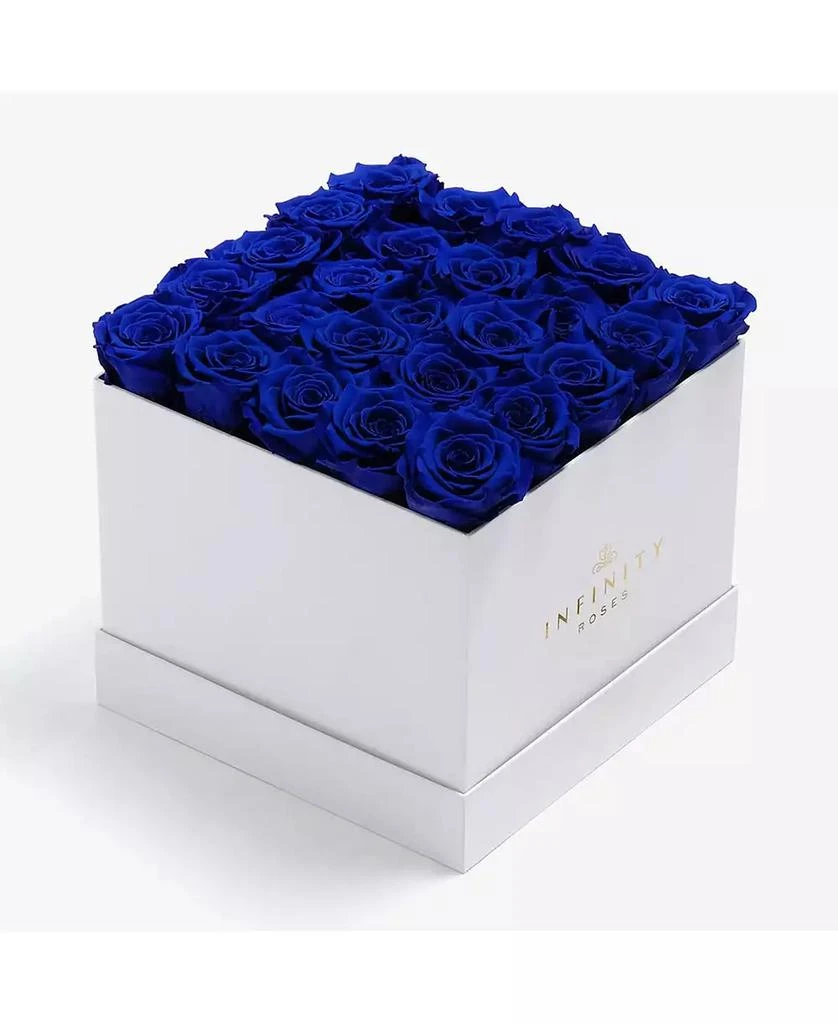 商品Infinity Roses|Square Box of 25 Blue Real Roses Preserved to Last Over A Year, Extra Large,价格¥2123,第1张图片