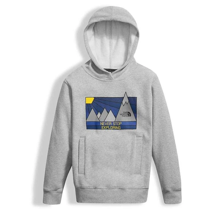 商品The North Face|The North Face Boys' Logowear Pullover Hoodie,价格¥237,第1张图片