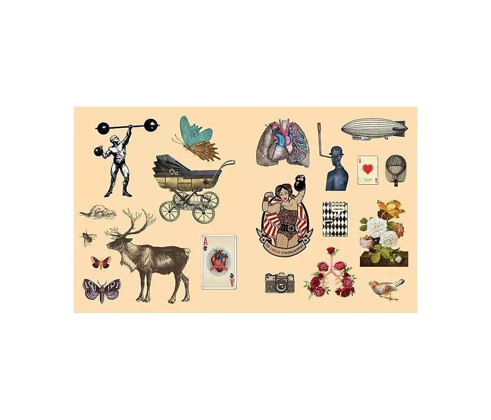 商品Barnes & Noble|Sticker Studio - Arcana - A Sticker Gallery of Vintage Ephemera by Chloe Standish,价格¥193,第2张图片详细描述