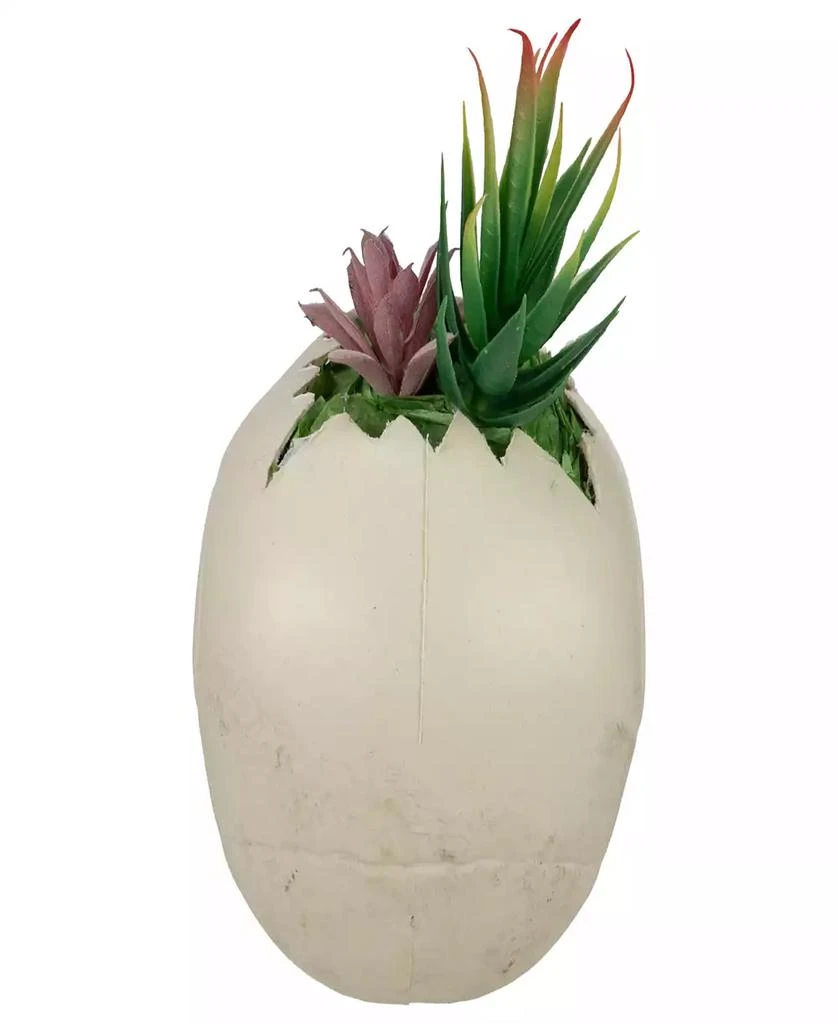 商品Northlight|8.75" LED Lighted Succulent Halloween Skull Planter,价格¥522,第5张图片详细描述