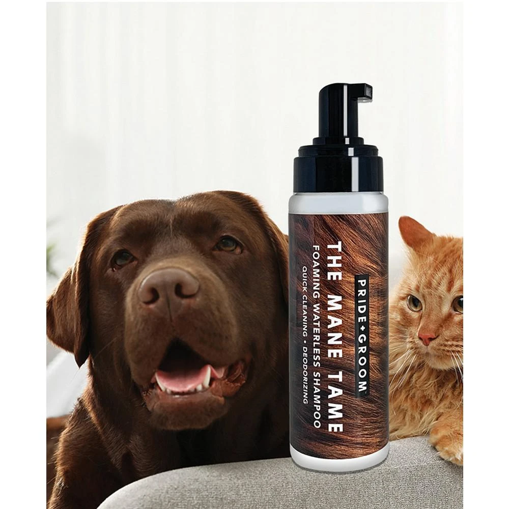 商品Pride+Groom|"The Mane" Tame Waterless Pet Shampoo, 16-oz.,价格¥150,第3张图片详细描述