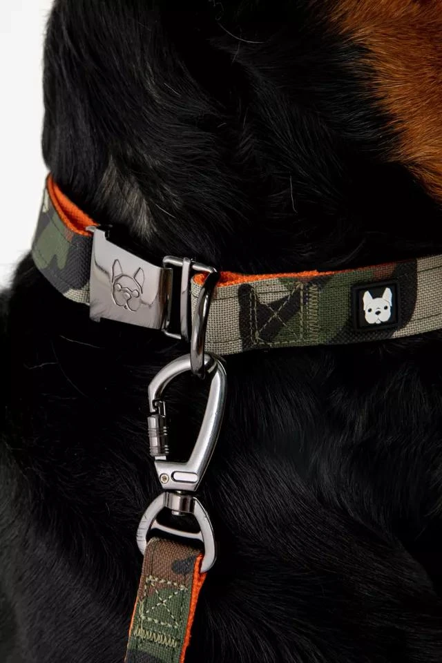 商品Silver Paw|Silver Paw Camo Dog Collar and Leash,价格¥261,第1张图片