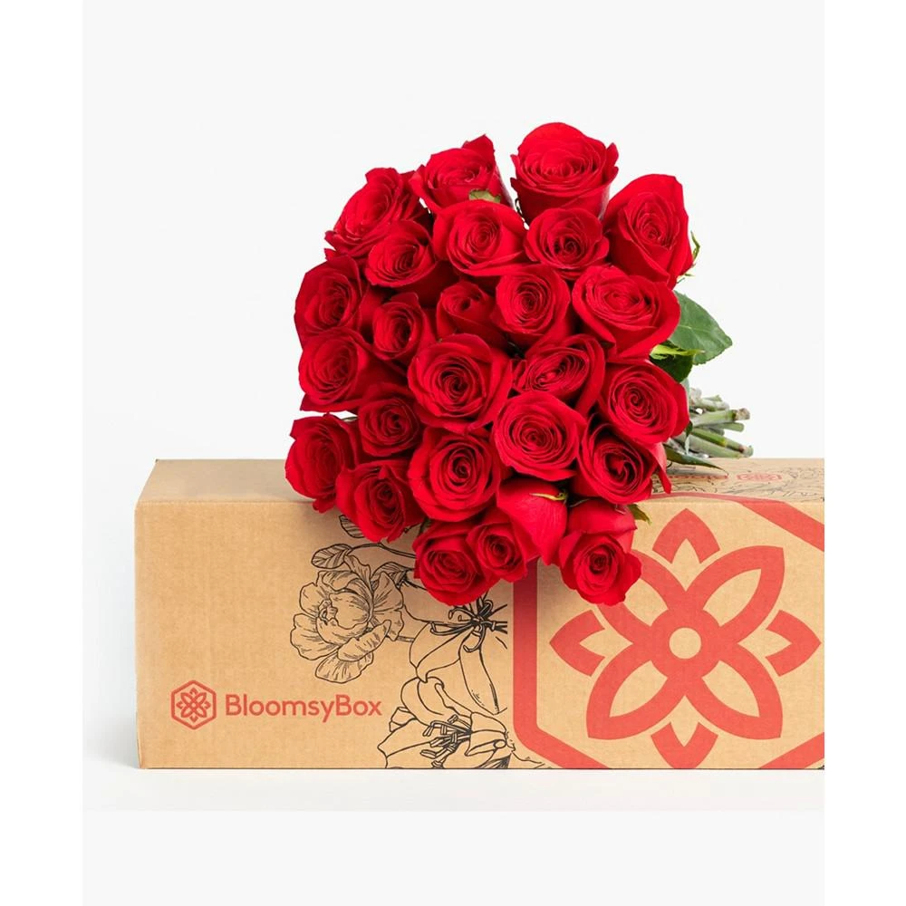 商品BloomsyBox|Splendid Red Roses Fresh Flower Bouquet,价格¥541,第3张图片详细描述